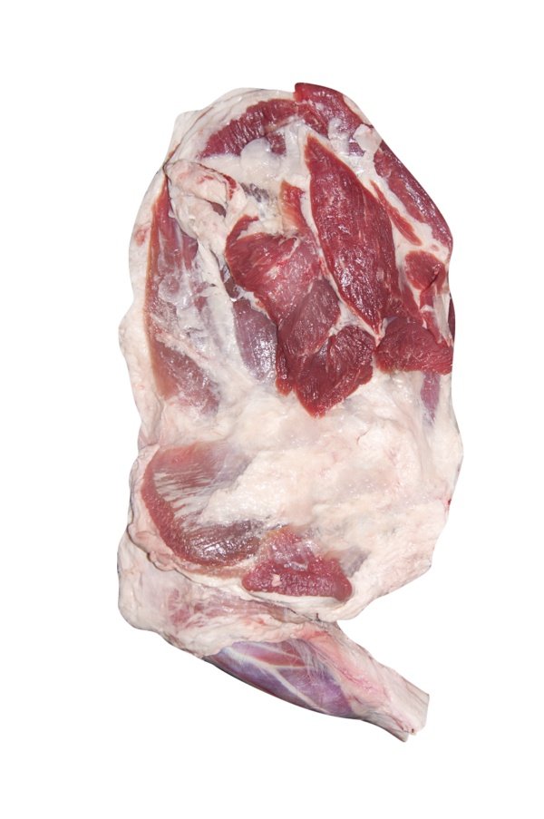 Paleta