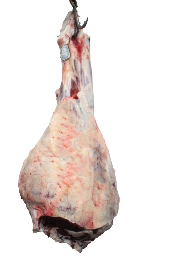 Coxa Toco