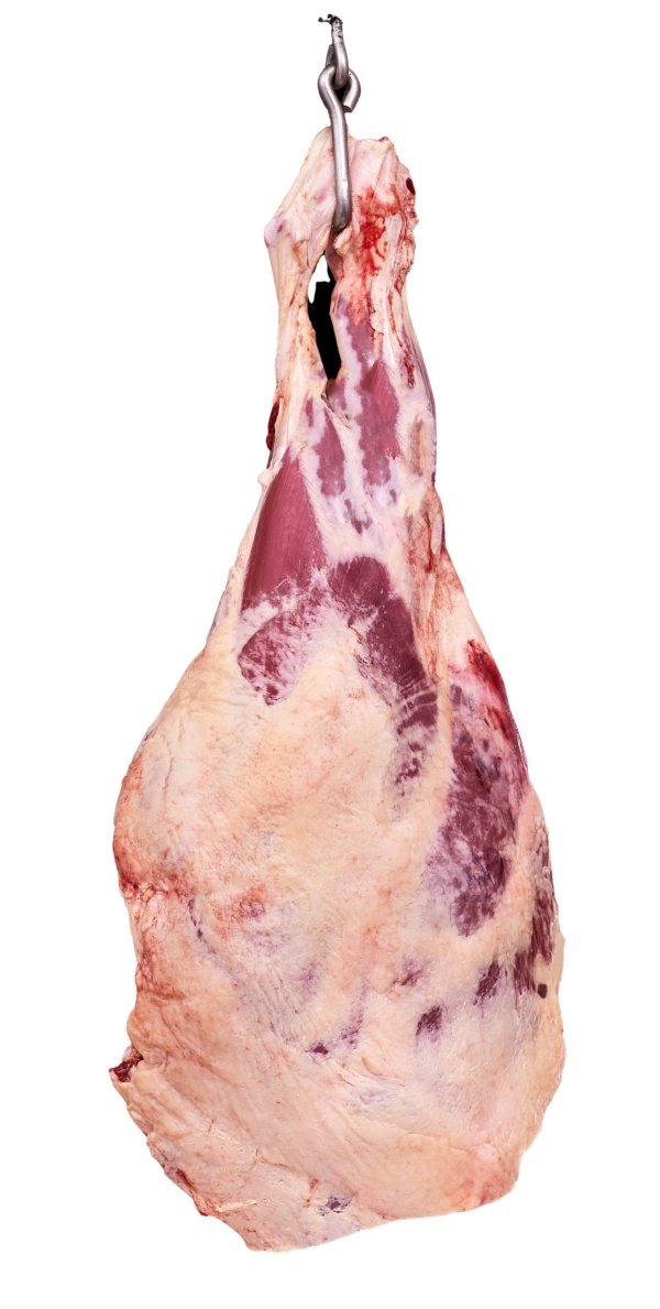 Coxa Bola