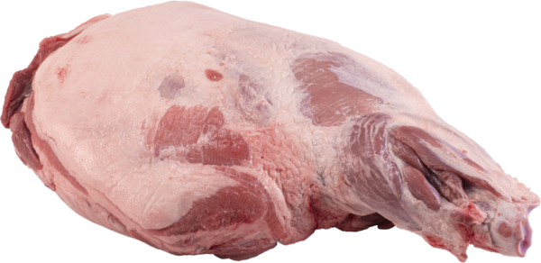 Paleta