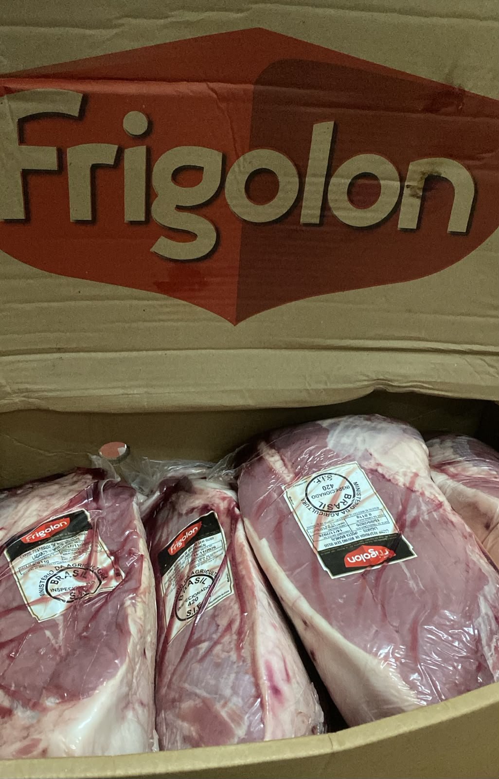 Lagarto Frigolon resfriado